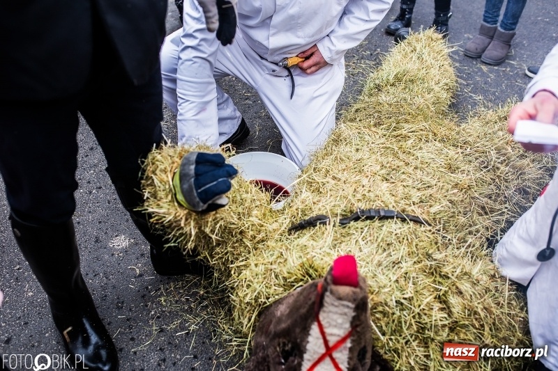 Zdjęcie w galerii na portalu naszraciborz.pl: Młoda para, małpice, misie i kominiarz. Samborowicki tanzbär na koniec karnawału  wiadomości z regionu