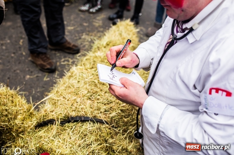 Zdjęcie w galerii na portalu naszraciborz.pl: Młoda para, małpice, misie i kominiarz. Samborowicki tanzbär na koniec karnawału  wiadomości z regionu