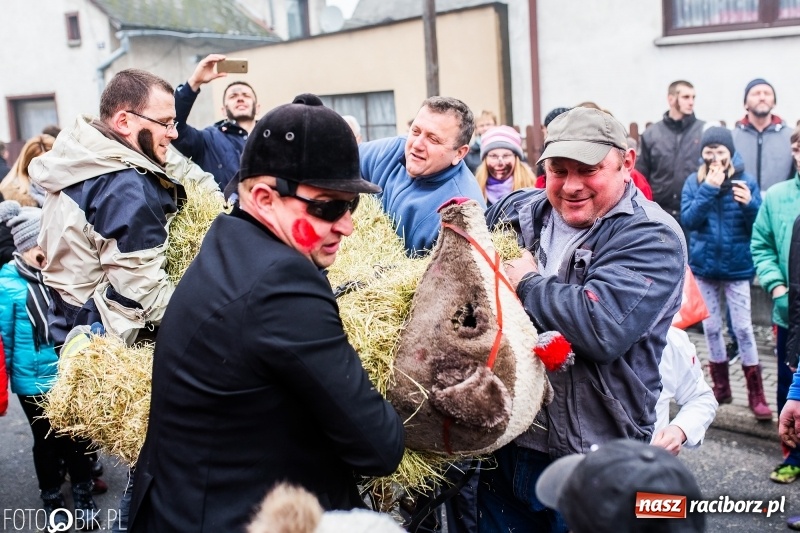 Zdjęcie w galerii na portalu naszraciborz.pl: Młoda para, małpice, misie i kominiarz. Samborowicki tanzbär na koniec karnawału  wiadomości z regionu