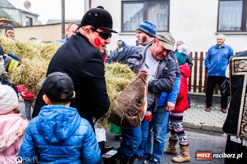 Zdjęcie w galerii na portalu naszraciborz.pl: Młoda para, małpice, misie i kominiarz. Samborowicki tanzbär na koniec karnawału  wiadomości z regionu