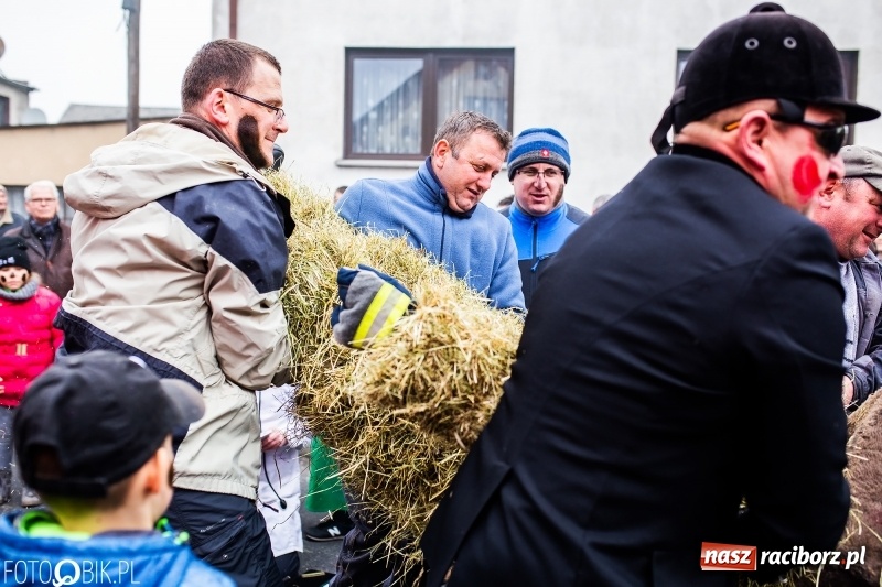 Zdjęcie w galerii na portalu naszraciborz.pl: Młoda para, małpice, misie i kominiarz. Samborowicki tanzbär na koniec karnawału  wiadomości z regionu