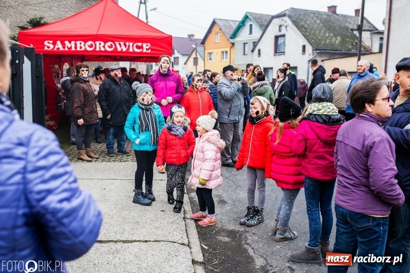 Zdjęcie w galerii na portalu naszraciborz.pl: Młoda para, małpice, misie i kominiarz. Samborowicki tanzbär na koniec karnawału  wiadomości z regionu