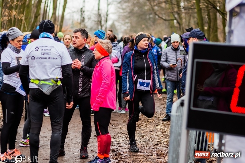 Zdjęcie w galerii na portalu naszraciborz.pl: VII Raciborski Bieg Tropem Wilczym FOTO i WIDEO wiadomości z regionu