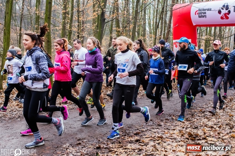 Zdjęcie w galerii na portalu naszraciborz.pl: VII Raciborski Bieg Tropem Wilczym FOTO i WIDEO wiadomości z regionu