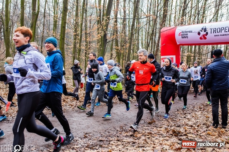 Zdjęcie w galerii na portalu naszraciborz.pl: VII Raciborski Bieg Tropem Wilczym FOTO i WIDEO wiadomości z regionu
