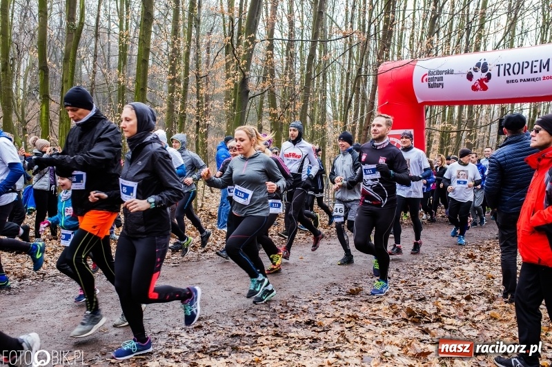 Zdjęcie w galerii na portalu naszraciborz.pl: VII Raciborski Bieg Tropem Wilczym FOTO i WIDEO wiadomości z regionu