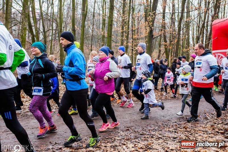 Zdjęcie w galerii na portalu naszraciborz.pl: VII Raciborski Bieg Tropem Wilczym FOTO i WIDEO wiadomości z regionu