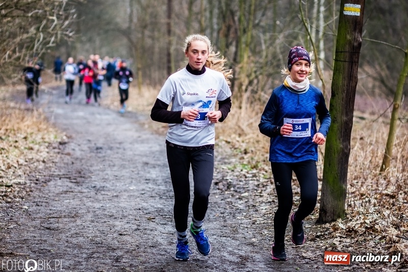Zdjęcie w galerii na portalu naszraciborz.pl: VII Raciborski Bieg Tropem Wilczym FOTO i WIDEO wiadomości z regionu