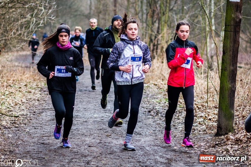 Zdjęcie w galerii na portalu naszraciborz.pl: VII Raciborski Bieg Tropem Wilczym FOTO i WIDEO wiadomości z regionu