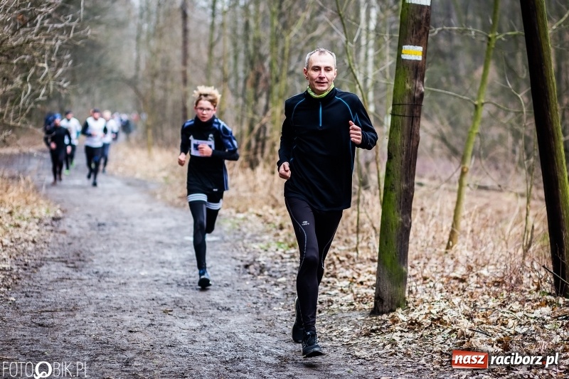 Zdjęcie w galerii na portalu naszraciborz.pl: VII Raciborski Bieg Tropem Wilczym FOTO i WIDEO wiadomości z regionu