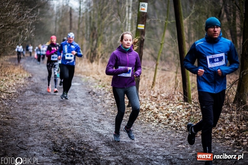 Zdjęcie w galerii na portalu naszraciborz.pl: VII Raciborski Bieg Tropem Wilczym FOTO i WIDEO wiadomości z regionu