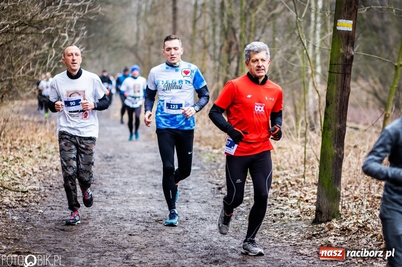 Zdjęcie w galerii na portalu naszraciborz.pl: VII Raciborski Bieg Tropem Wilczym FOTO i WIDEO wiadomości z regionu