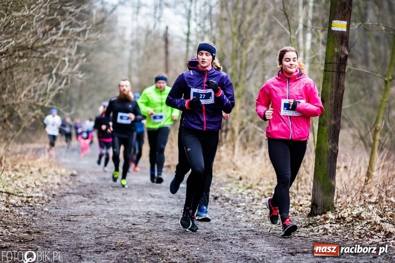 Zdjęcie w galerii na portalu naszraciborz.pl: VII Raciborski Bieg Tropem Wilczym FOTO i WIDEO wiadomości z regionu