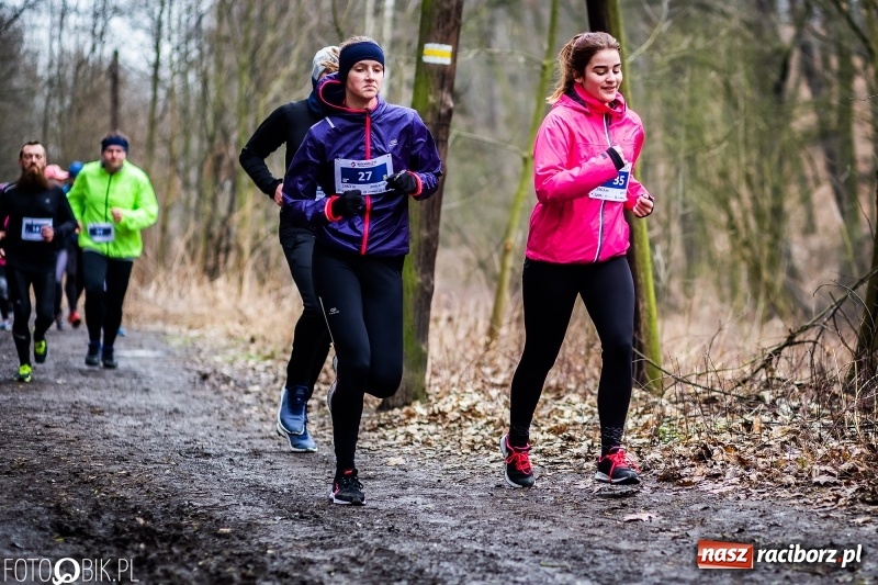 Zdjęcie w galerii na portalu naszraciborz.pl: VII Raciborski Bieg Tropem Wilczym FOTO i WIDEO wiadomości z regionu