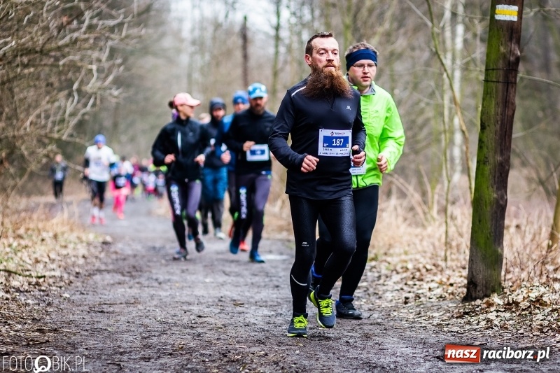 Zdjęcie w galerii na portalu naszraciborz.pl: VII Raciborski Bieg Tropem Wilczym FOTO i WIDEO wiadomości z regionu