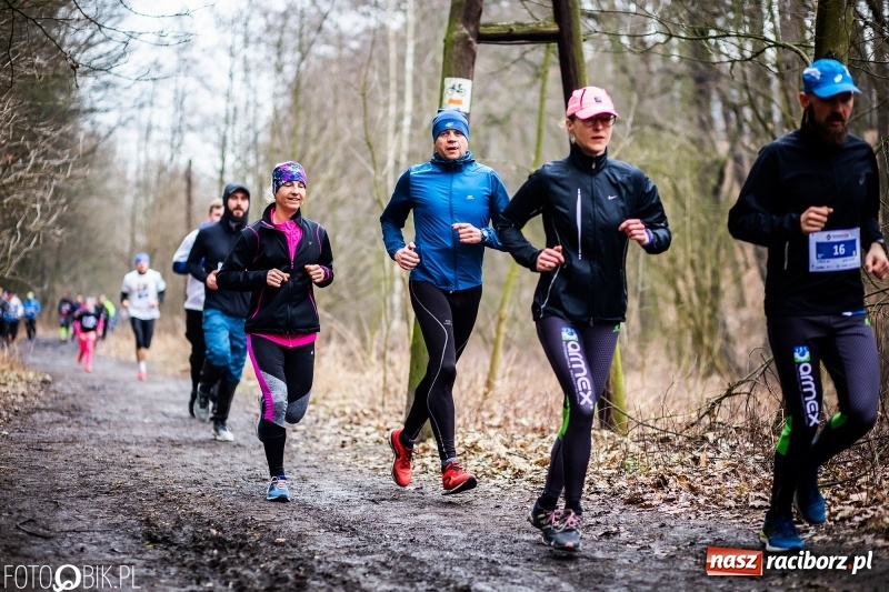 Zdjęcie w galerii na portalu naszraciborz.pl: VII Raciborski Bieg Tropem Wilczym FOTO i WIDEO wiadomości z regionu