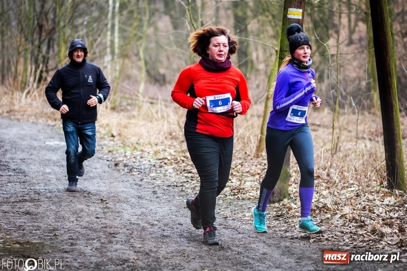 Zdjęcie w galerii na portalu naszraciborz.pl: VII Raciborski Bieg Tropem Wilczym FOTO i WIDEO wiadomości z regionu