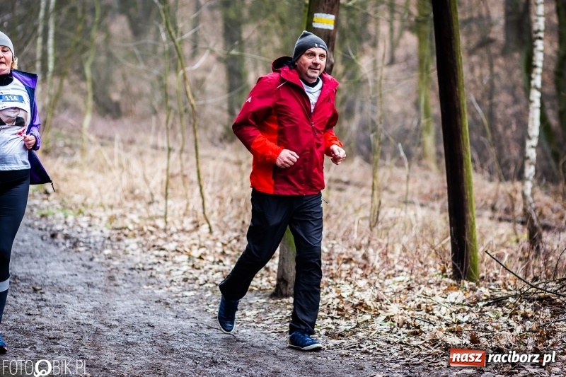 Zdjęcie w galerii na portalu naszraciborz.pl: VII Raciborski Bieg Tropem Wilczym FOTO i WIDEO wiadomości z regionu