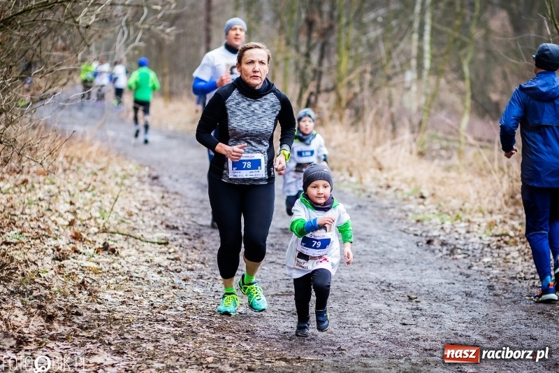 Zdjęcie w galerii na portalu naszraciborz.pl: VII Raciborski Bieg Tropem Wilczym FOTO i WIDEO wiadomości z regionu