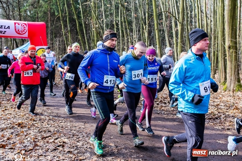 Zdjęcie w galerii na portalu naszraciborz.pl: VIII Raciborski Bieg Twardziela FOTO i WIDEO wiadomości z regionu