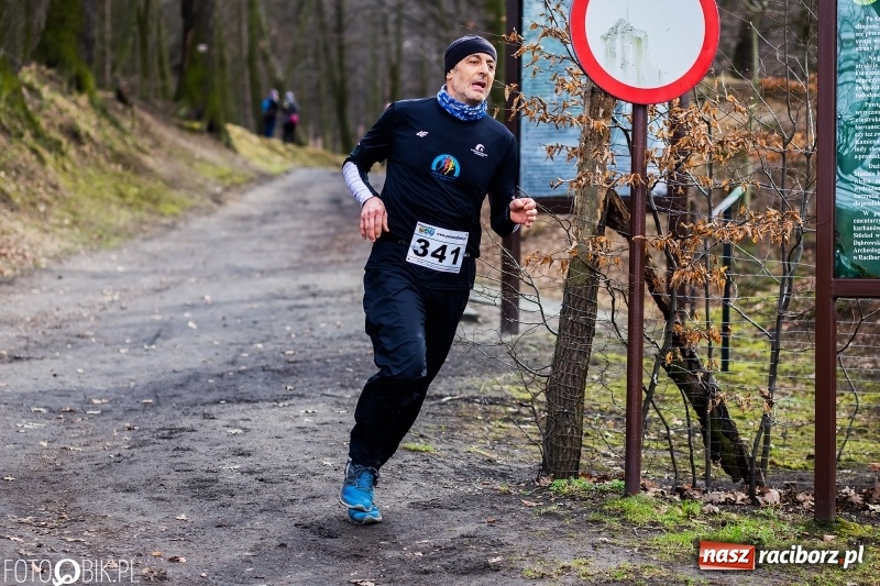 Zdjęcie w galerii na portalu naszraciborz.pl: VIII Raciborski Bieg Twardziela FOTO i WIDEO wiadomości z regionu