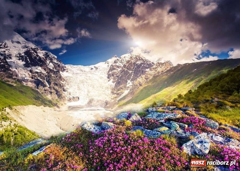 Zdjęcie w galerii na portalu naszraciborz.pl: Marzysz o wyjątkowej przygodzie? Ruszaj z nami do Gruzji na kameralną wyprawę życia!  wiadomości z regionu