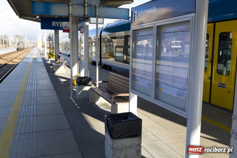 Zdjęcie w galerii na portalu naszraciborz.pl: Na stacjach są już nowe perony. Podróże na trasie Chybie -Żory-Rybnik-Nędza stały się lepsze wiadomości z regionu