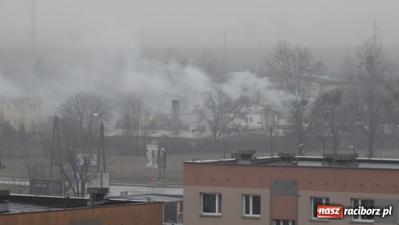 Zdjęcie w galerii na portalu naszraciborz.pl: Czytelnik pyta, urząd odpowiada. Czyj to komin i co z remontem budynków?  wiadomości z regionu