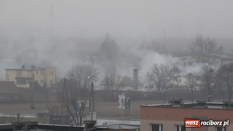 Zdjęcie w galerii na portalu naszraciborz.pl: Czytelnik pyta, urząd odpowiada. Czyj to komin i co z remontem budynków?  wiadomości z regionu