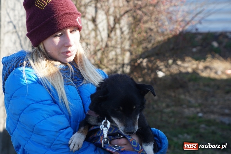 Zdjęcie w galerii na portalu naszraciborz.pl: Raciborskie schronisko dla zwierząt umożliwia spacery ze swoimi psami wiadomości z regionu