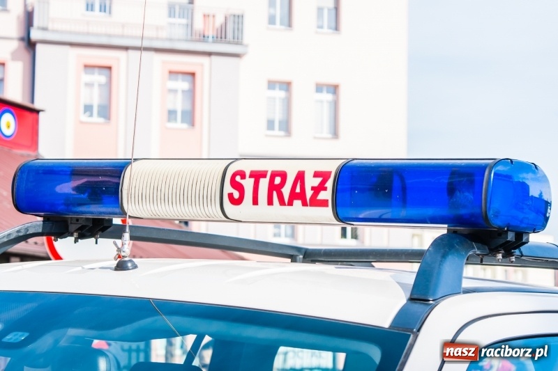 Zdjęcie w galerii na portalu naszraciborz.pl: Pożar w piwnicy bloku przy Opawskiej. W akcji cztery zastępy straży wiadomości z regionu