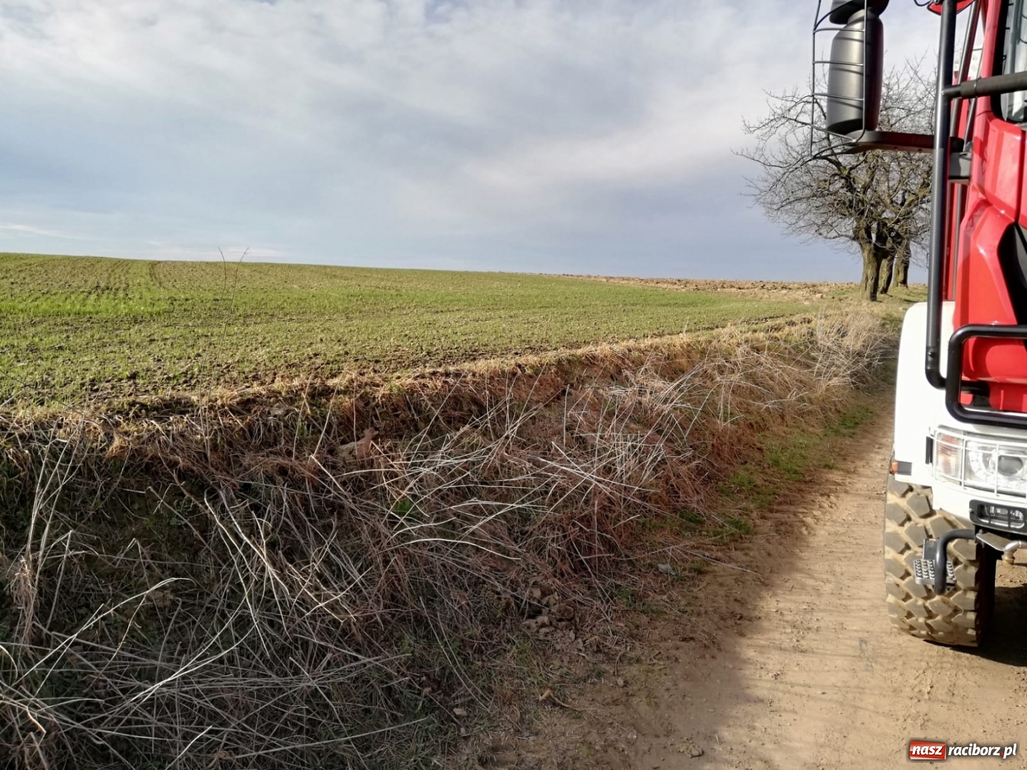 Zdjęcie w galerii na portalu naszraciborz.pl: Dwa niewybuchy z czasów II wojny światowej  wiadomości z regionu