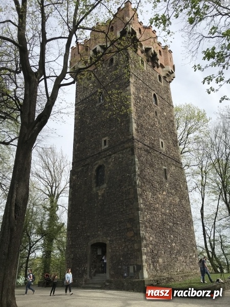 Zdjęcie w galerii na portalu naszraciborz.pl: Czy wiesz, gdzie kwitną najpiękniejsze magnolie? Odkryj z nami magiczny Cieszyn!  wiadomości z regionu