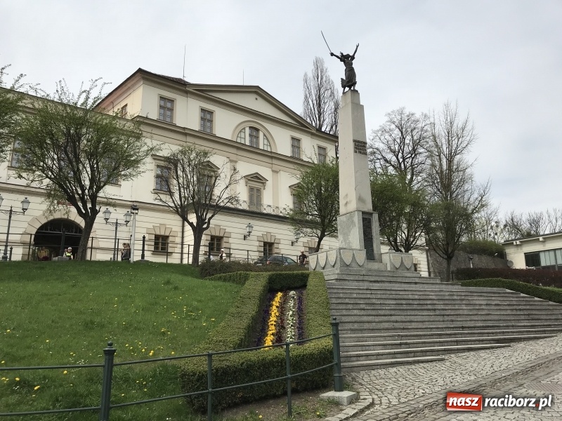 Zdjęcie w galerii na portalu naszraciborz.pl: Czy wiesz, gdzie kwitną najpiękniejsze magnolie? Odkryj z nami magiczny Cieszyn!  wiadomości z regionu