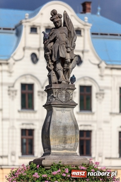 Zdjęcie w galerii na portalu naszraciborz.pl: Czy wiesz, gdzie kwitną najpiękniejsze magnolie? Odkryj z nami magiczny Cieszyn!  wiadomości z regionu
