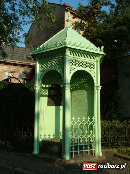 Zdjęcie w galerii na portalu naszraciborz.pl: Czy wiesz, gdzie kwitną najpiękniejsze magnolie? Odkryj z nami magiczny Cieszyn!  wiadomości z regionu