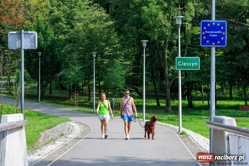 Zdjęcie w galerii na portalu naszraciborz.pl: Czy wiesz, gdzie kwitną najpiękniejsze magnolie? Odkryj z nami magiczny Cieszyn!  wiadomości z regionu