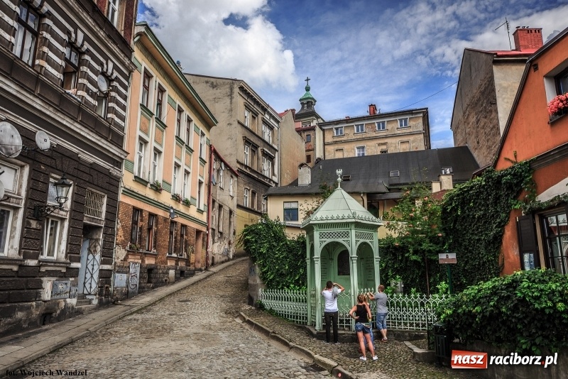 Zdjęcie w galerii na portalu naszraciborz.pl: Czy wiesz, gdzie kwitną najpiękniejsze magnolie? Odkryj z nami magiczny Cieszyn!  wiadomości z regionu