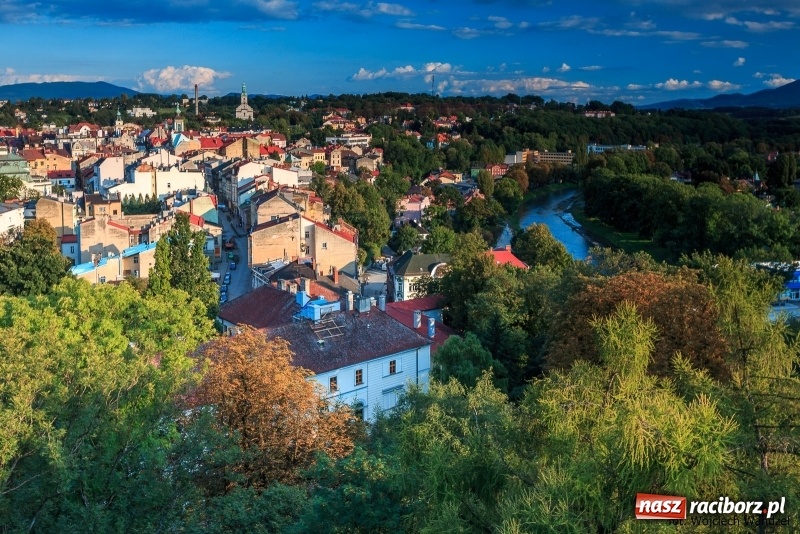 Zdjęcie w galerii na portalu naszraciborz.pl: Czy wiesz, gdzie kwitną najpiękniejsze magnolie? Odkryj z nami magiczny Cieszyn!  wiadomości z regionu