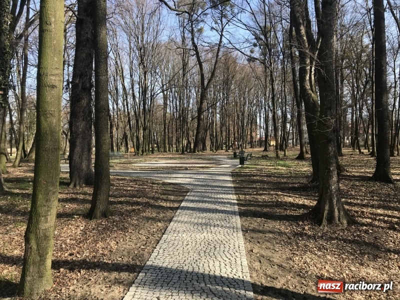 Zdjęcie w galerii na portalu naszraciborz.pl: Widoki zapierają dech w piersiach [FOTO] wiadomości z regionu
