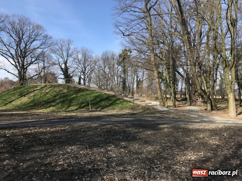 Zdjęcie w galerii na portalu naszraciborz.pl: Widoki zapierają dech w piersiach [FOTO] wiadomości z regionu