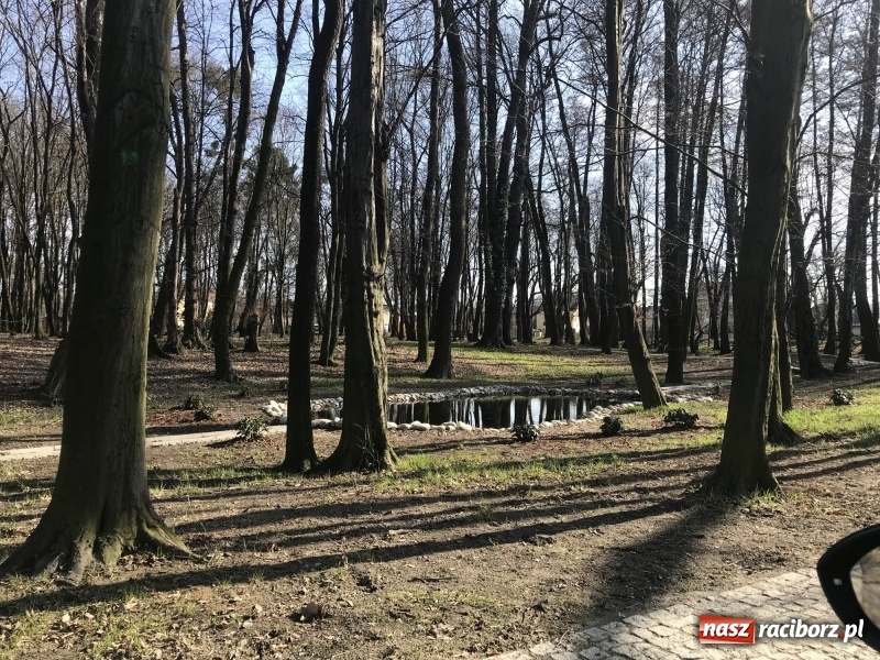 Zdjęcie w galerii na portalu naszraciborz.pl: Widoki zapierają dech w piersiach [FOTO] wiadomości z regionu