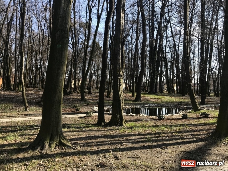 Zdjęcie w galerii na portalu naszraciborz.pl: Widoki zapierają dech w piersiach [FOTO] wiadomości z regionu