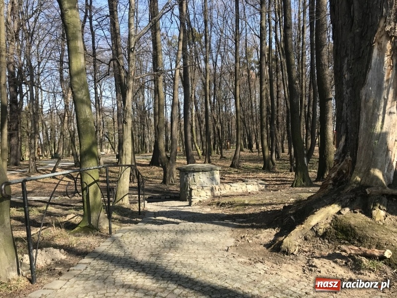 Zdjęcie w galerii na portalu naszraciborz.pl: Widoki zapierają dech w piersiach [FOTO] wiadomości z regionu