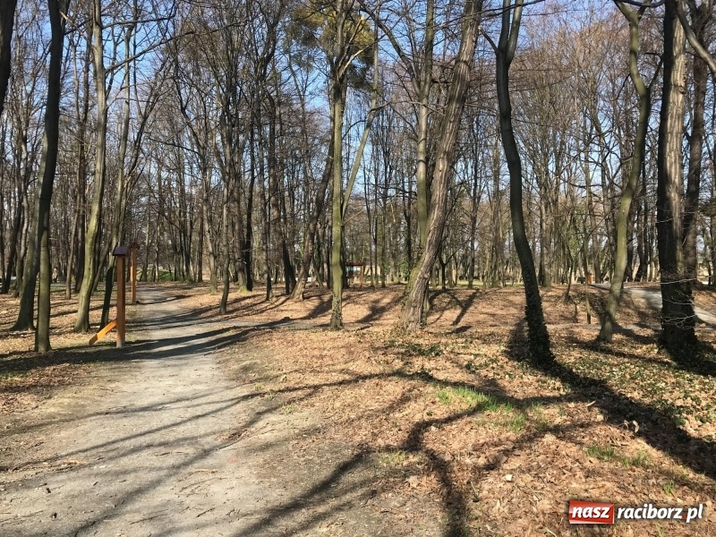 Zdjęcie w galerii na portalu naszraciborz.pl: Widoki zapierają dech w piersiach [FOTO] wiadomości z regionu