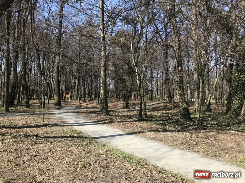 Zdjęcie w galerii na portalu naszraciborz.pl: Widoki zapierają dech w piersiach [FOTO] wiadomości z regionu