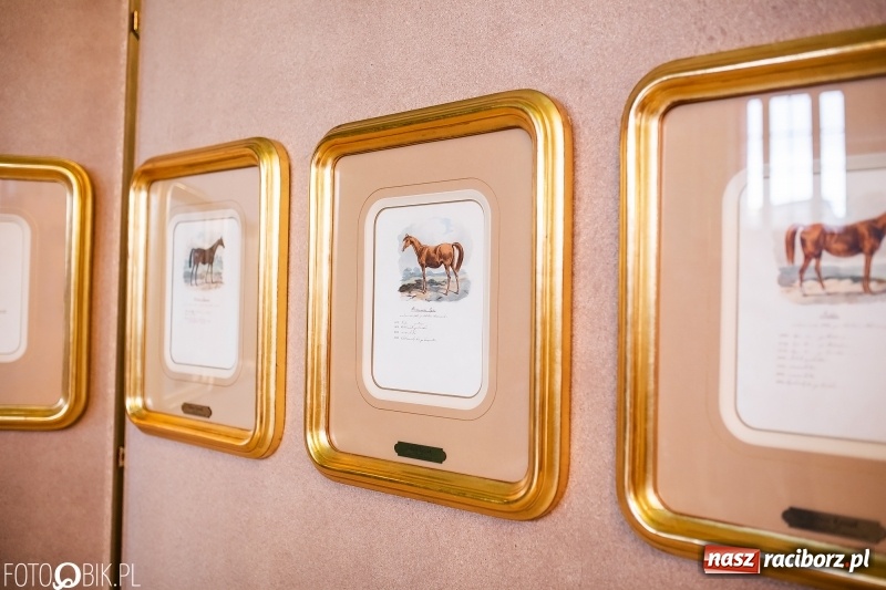 Zdjęcie w galerii na portalu naszraciborz.pl: Juliusz i Wojciech Kossak w Raciborzu. Historyczne malarstwo w pałacyku Rafako wiadomości z regionu