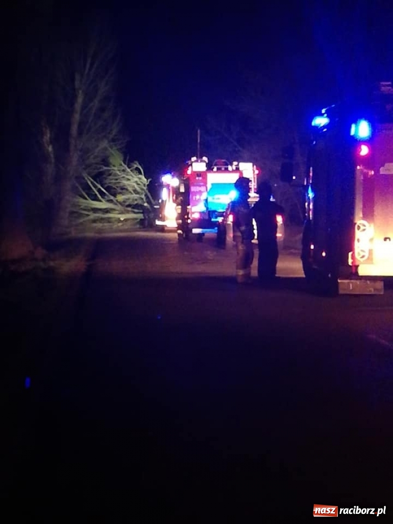 Zdjęcie w galerii na portalu naszraciborz.pl: To był nocny Armagedon. Strażacy mieli pełne ręce roboty. Ponad 60 wezwań FOTO wiadomości z regionu