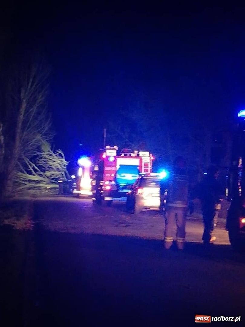 Zdjęcie w galerii na portalu naszraciborz.pl: To był nocny Armagedon. Strażacy mieli pełne ręce roboty. Ponad 60 wezwań FOTO wiadomości z regionu