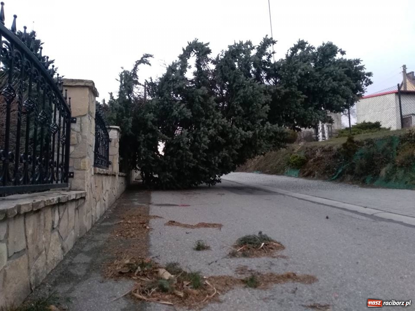 Zdjęcie w galerii na portalu naszraciborz.pl: To był nocny Armagedon. Strażacy mieli pełne ręce roboty. Ponad 60 wezwań FOTO wiadomości z regionu